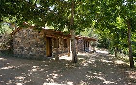 Cepo Verde